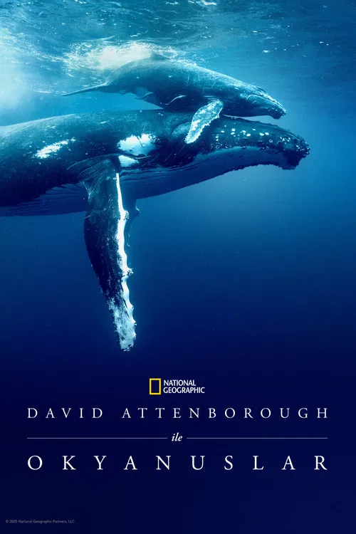 David Attenborough ile Okyanuslar